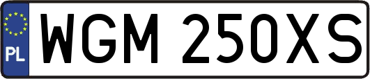 WGM250XS