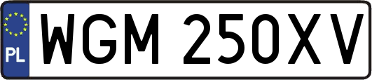 WGM250XV