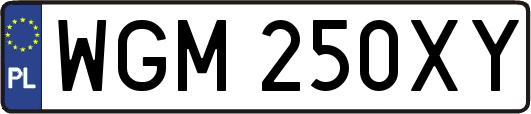 WGM250XY