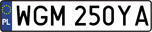 WGM250YA