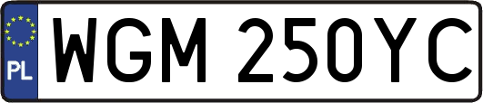 WGM250YC