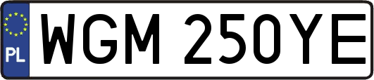 WGM250YE