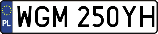 WGM250YH