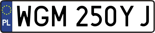 WGM250YJ