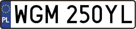 WGM250YL