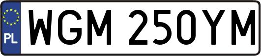 WGM250YM