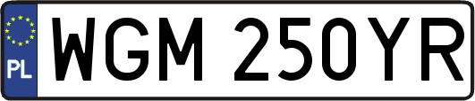 WGM250YR