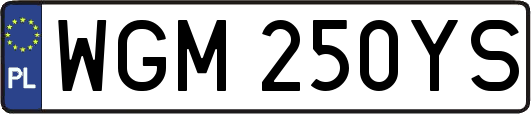 WGM250YS