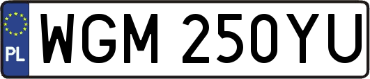 WGM250YU