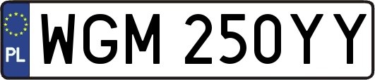 WGM250YY
