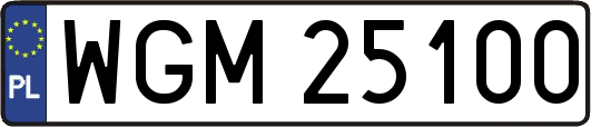 WGM25100