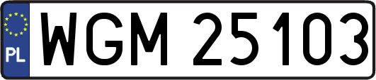 WGM25103