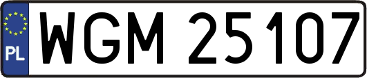 WGM25107