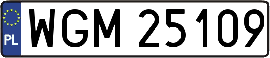 WGM25109