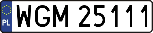 WGM25111