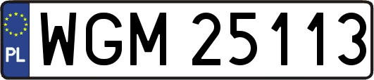 WGM25113