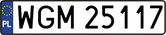 WGM25117