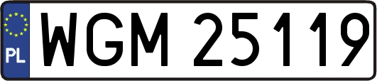 WGM25119