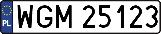 WGM25123