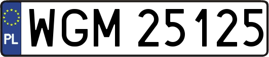 WGM25125