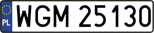 WGM25130