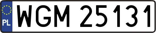 WGM25131