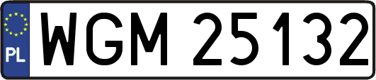 WGM25132