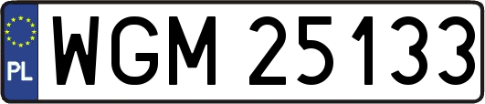 WGM25133
