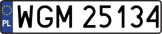 WGM25134