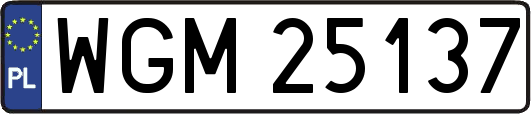 WGM25137