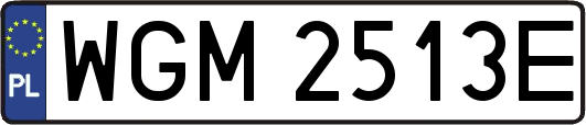 WGM2513E