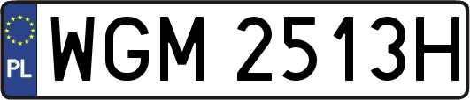 WGM2513H