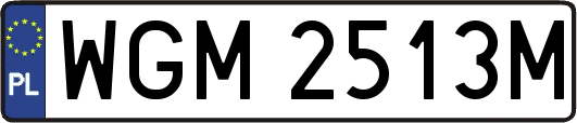 WGM2513M