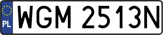WGM2513N