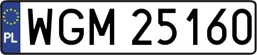 WGM25160