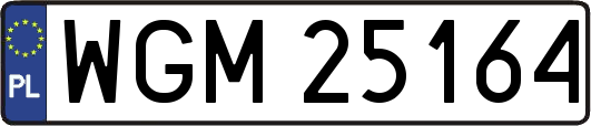 WGM25164
