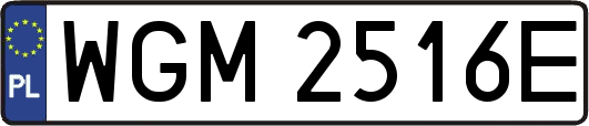 WGM2516E