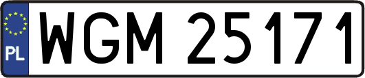 WGM25171
