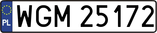 WGM25172