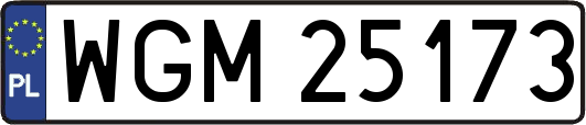 WGM25173