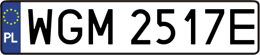 WGM2517E