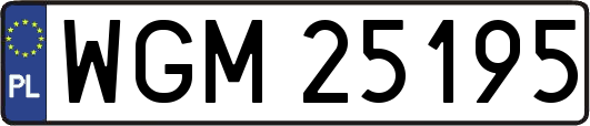 WGM25195