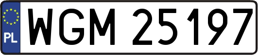 WGM25197