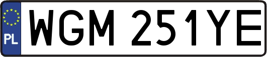 WGM251YE