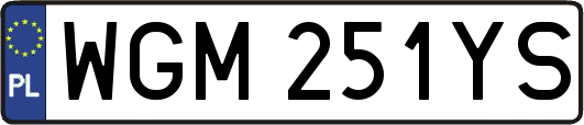 WGM251YS