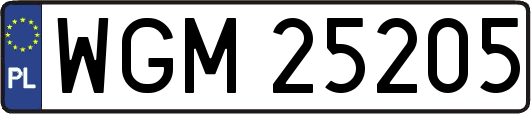 WGM25205