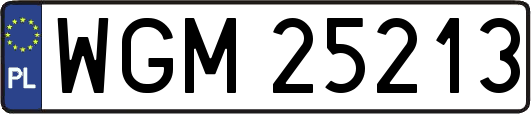 WGM25213