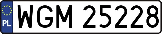WGM25228