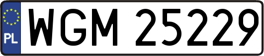 WGM25229