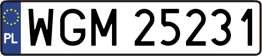 WGM25231